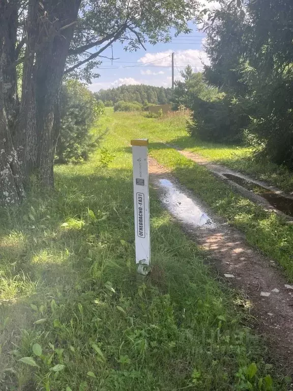 Участок в Московская область, Можайский муниципальный округ, Можайские ... - Фото 2