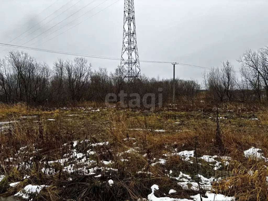 Участок в Архангельская область, Архангельск Малое Никольское ТСН,  ... - Фото 2
