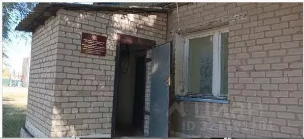 Помещение свободного назначения в Самарская область, с. Кошки ул. ... - Фото 1