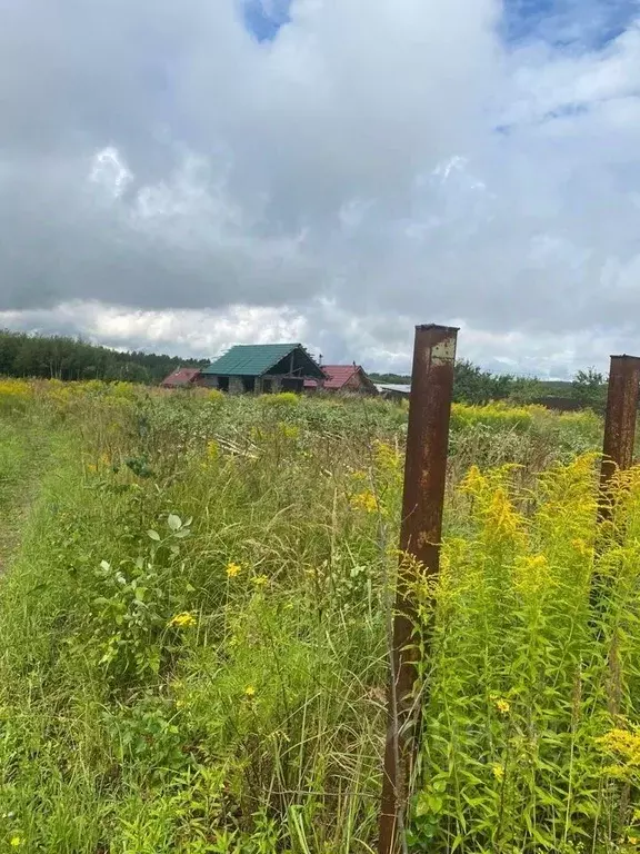 Дом в Нижегородская область, Богородский муниципальный округ, д. ... - Фото 1