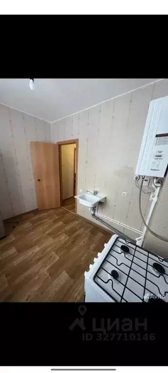 1-к кв. Белгородская область, Строитель Яковлевский городской округ, ... - Фото 1