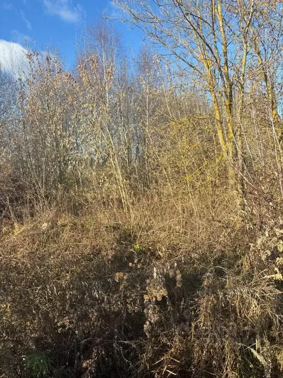 Участок в Московская область, Павловский Посад Мишутино мкр,  (10.66 ... - Фото 1