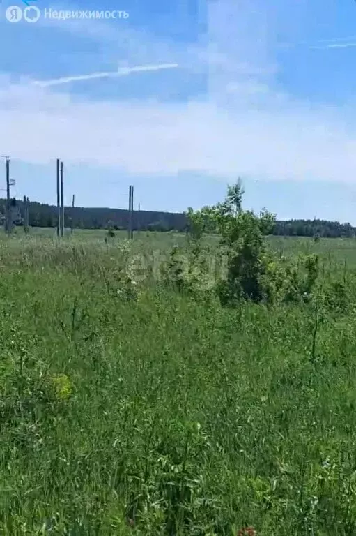 Участок в Поспеловское сельское поселение, посёлок Луговой (10 м) - Фото 2