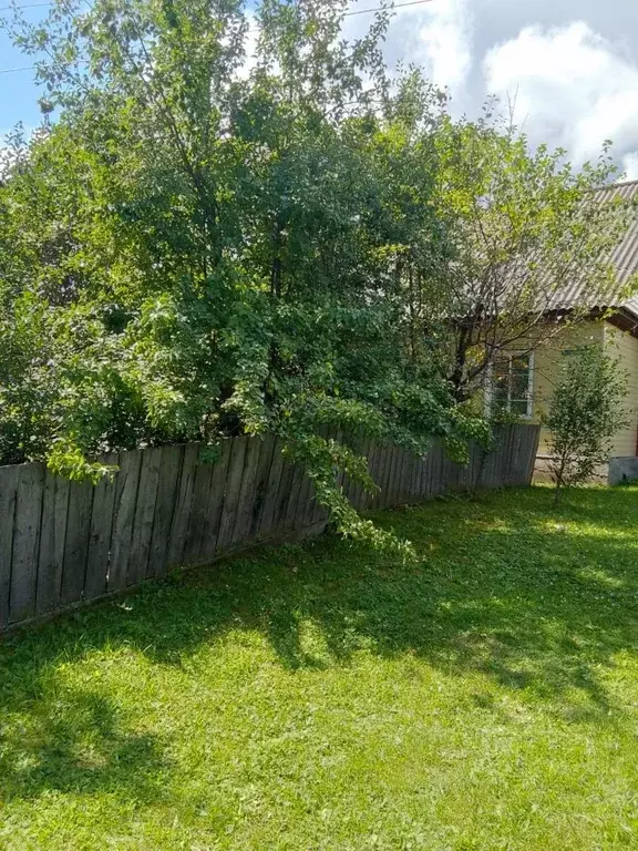 Дом в Алтай, Чемальский район, с. Чемал  (54 м) - Фото 1