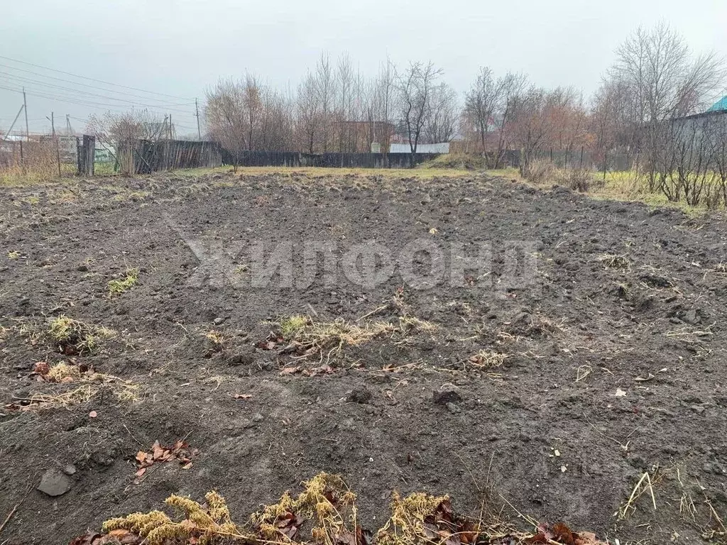 Участок в Новосибирская область, с. Новолуговое ул. Андреева (16.0 ... - Фото 1