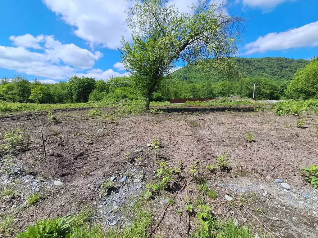 Участок в Северная Осетия, Владикавказ Учитель СТ, 100/2 (5.0 сот.) - Фото 2
