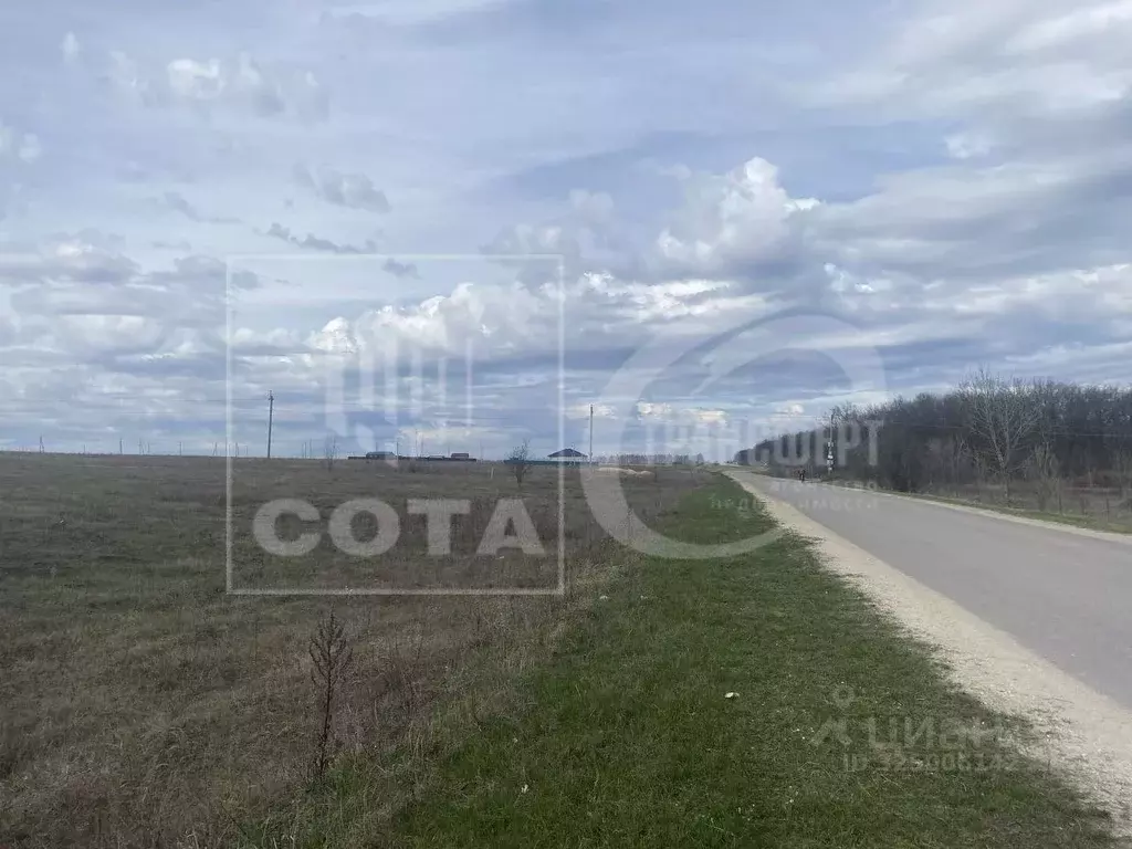 Участок в Воронежская область, Рамонский район, Новоживотинновское ... - Фото 1