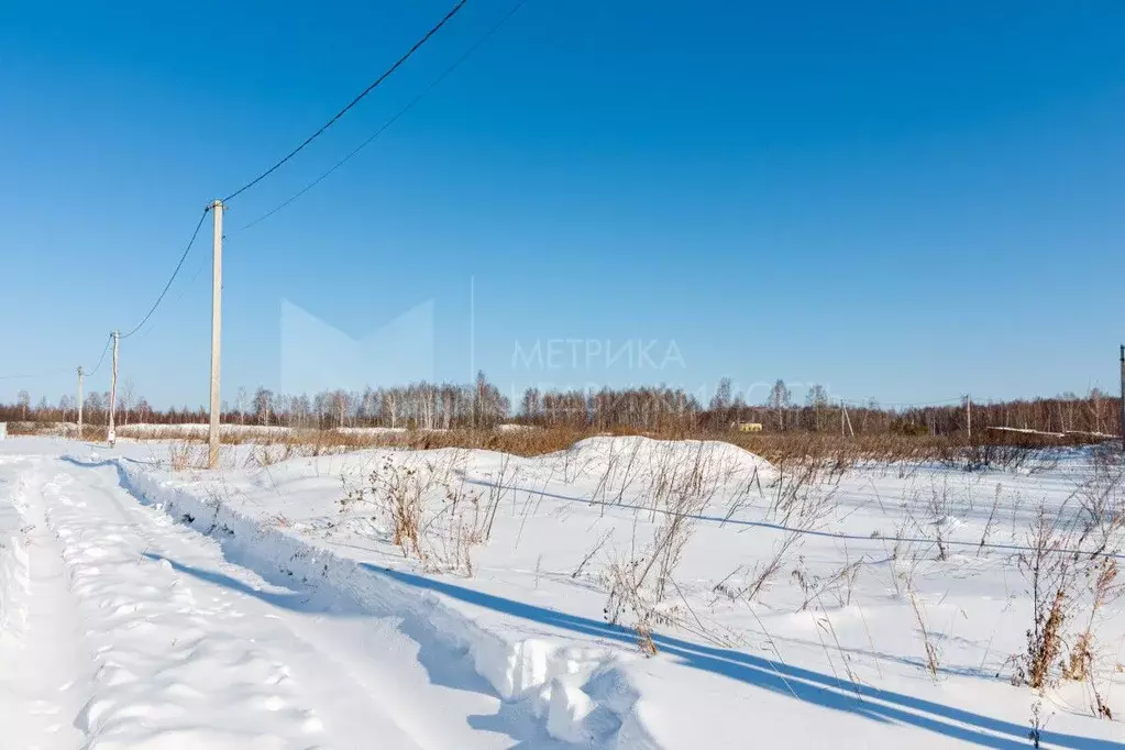 Участок в Тюменская область, Нижнетавдинский муниципальный округ, ... - Фото 1