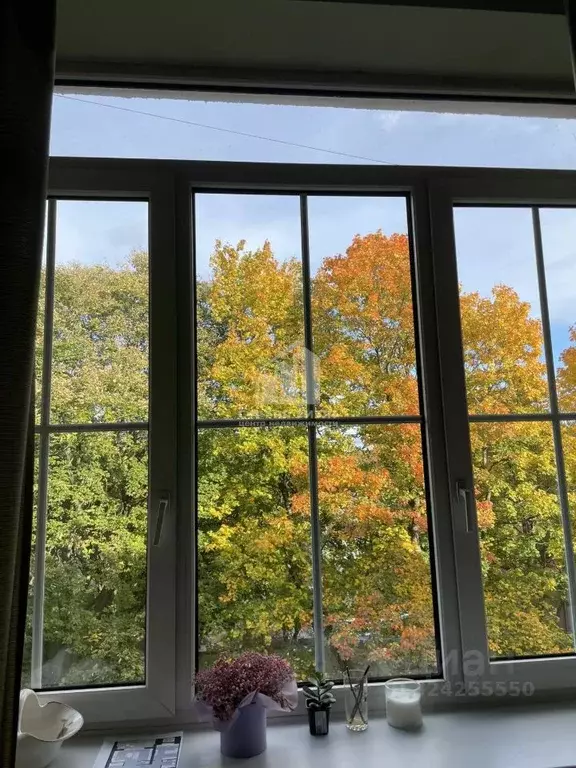 2-к кв. Калининградская область, Калининград Гостиная ул., 26 (67.9 м) - Фото 2