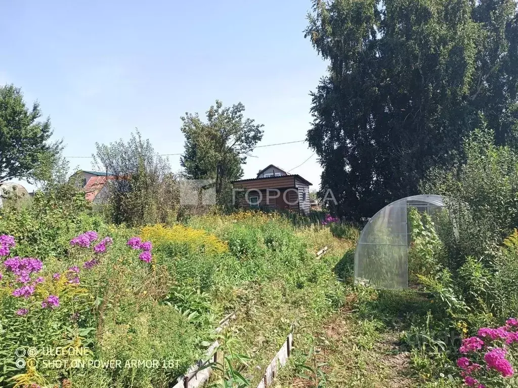 Участок в Кемеровская область, Новокузнецкий муниципальный округ, ... - Фото 0