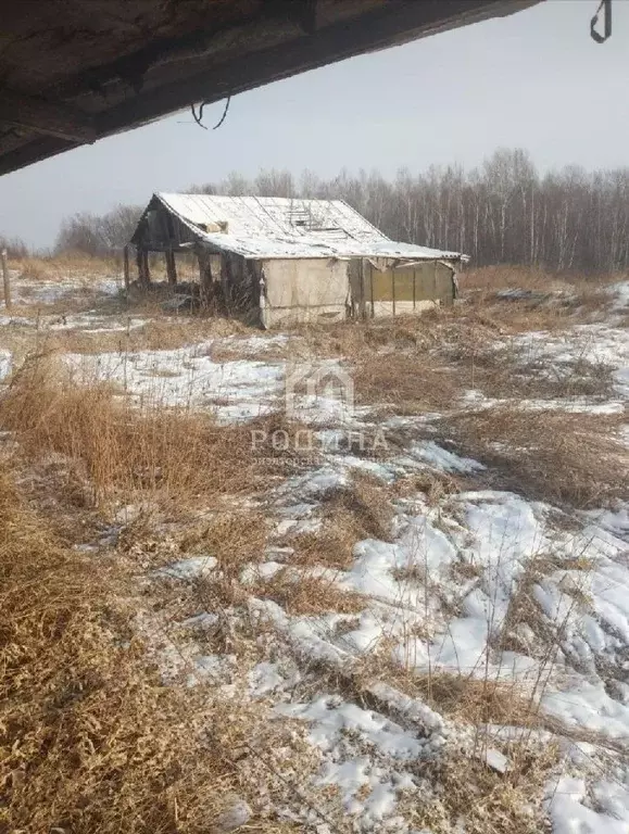 Дом в Хабаровский край, Комсомольск-на-Амуре пос. Старт, ул. ... - Фото 0