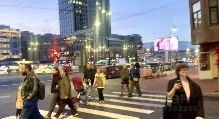 Помещение свободного назначения в Санкт-Петербург Московский просп., ... - Фото 2