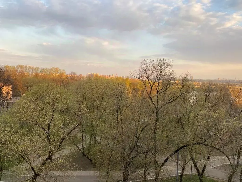 Комната Москва просп. Андропова, 31 (28.0 м) - Фото 1