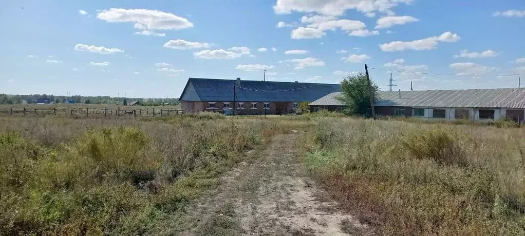 Помещение свободного назначения в Омская область, Кормиловский район, ... - Фото 1