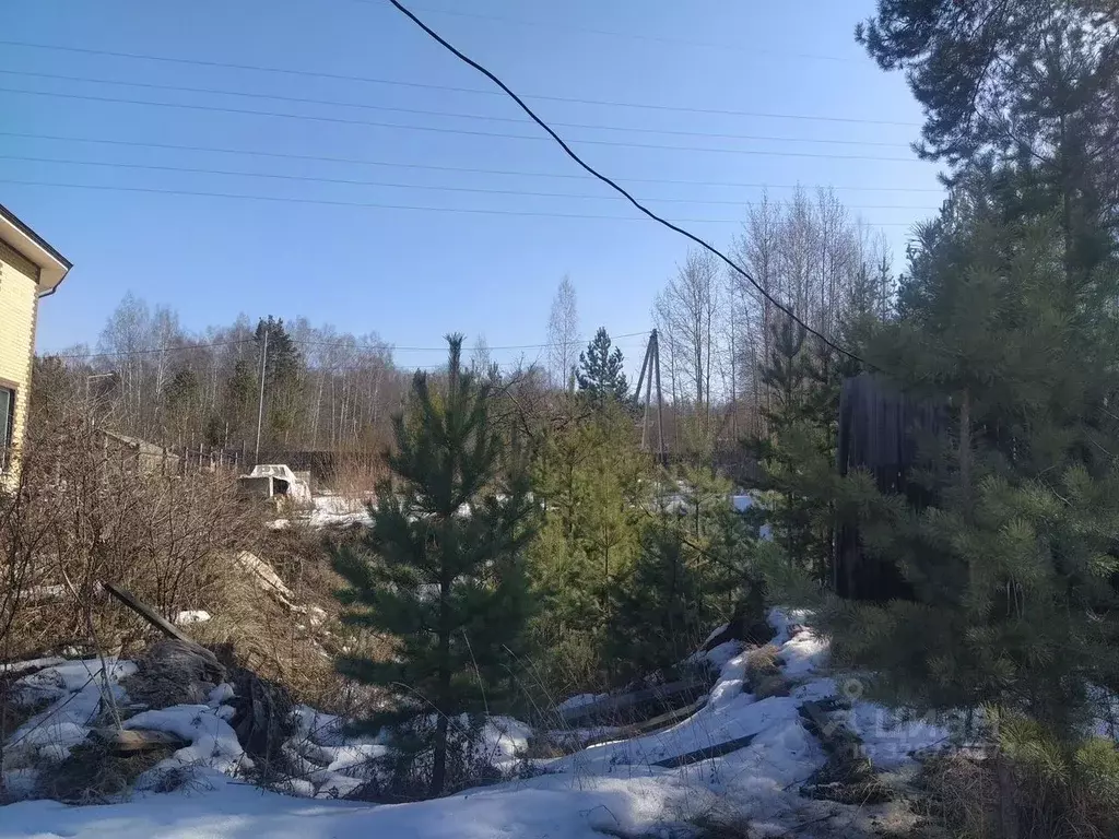 Участок в Свердловская область, Екатеринбург ул. Ковыльная (10.0 сот.) - Фото 1