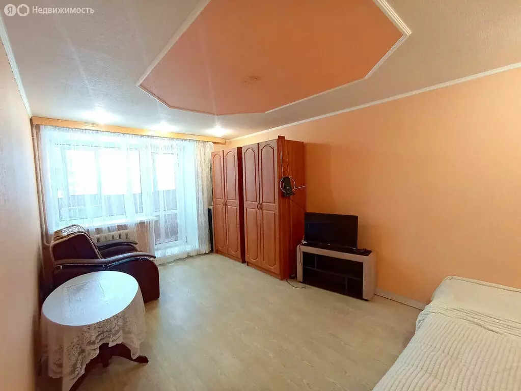 1-комнатная квартира: посёлок Ивняки, Центральная улица, 4 (32 м) - Фото 1