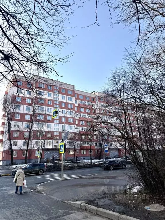 1-к кв. Санкт-Петербург Бестужевская ул., 31к1 (31.5 м) - Фото 1