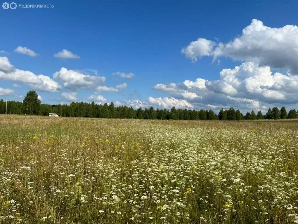 Участок в Остаповское сельское поселение, село Красноармейское (10 м) - Фото 0