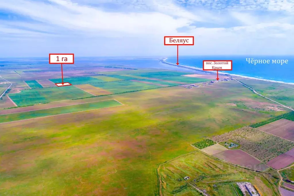 Участок в Крым, Черноморский район, Окуневское с/пос  (100.0 сот.) - Фото 2