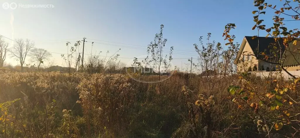 Участок в Калининградская область, Зеленоградский муниципальный округ, ... - Фото 2