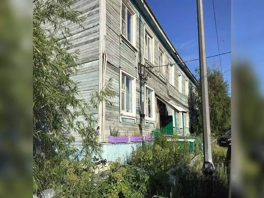 чапаева 34 салехард. чапаева 61 салехард. некрасова 13 салехард. салехард чапаева. салехард чапаева.