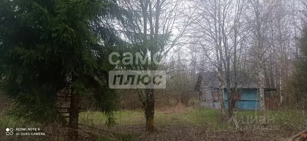 Участок в Вологодская область, Костино-1 садоводческое товарищество  ... - Фото 1