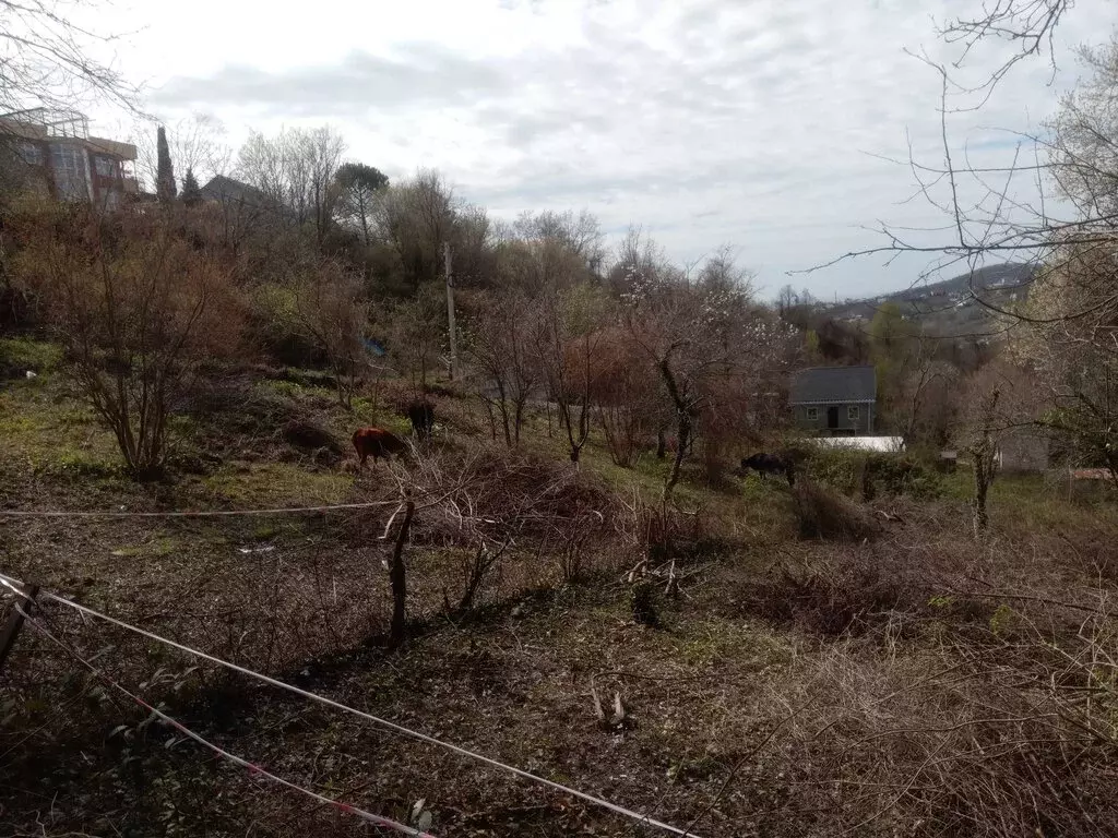 Участок в Краснодарский край, Сочи (5 м) - Фото 1