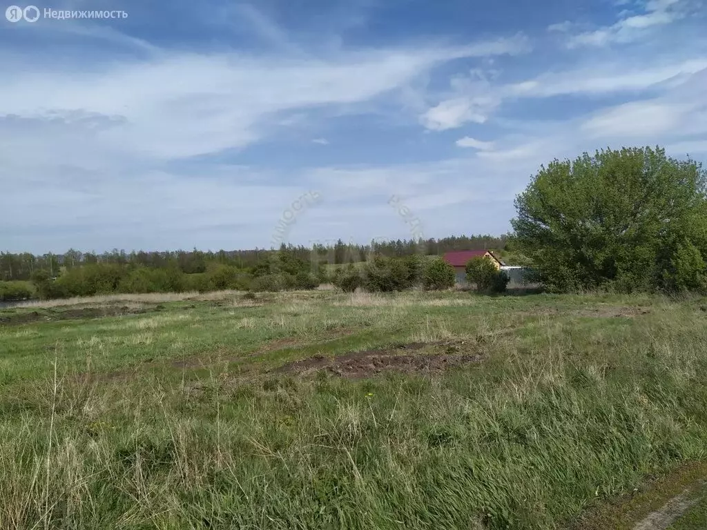 Участок в Курский район, село Ноздрачево (33.329998 м) - Фото 1