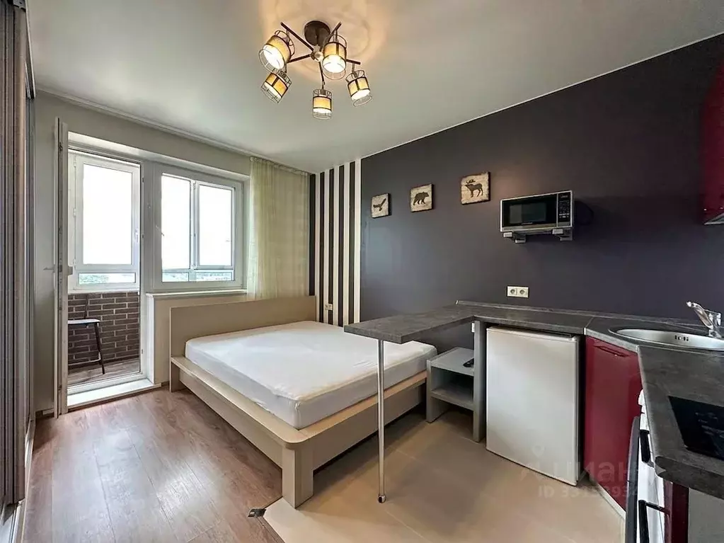 Студия Москва ул. Татьянин Парк, 16к2 (25.0 м) - Фото 1