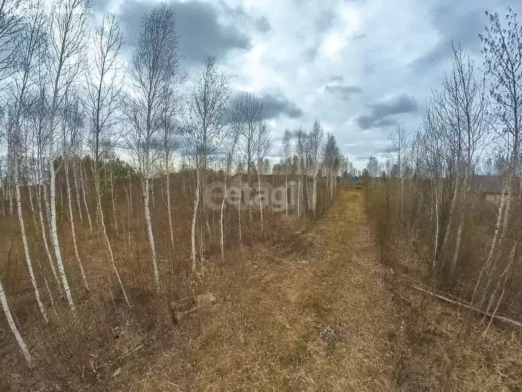 Участок в Нижнетавдинский район, СНТ Сочинские, 25-я линия (8.1 м) - Фото 1