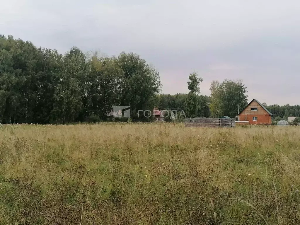 Участок в Новосибирская область, Мошково рп  (9.0 сот.) - Фото 1