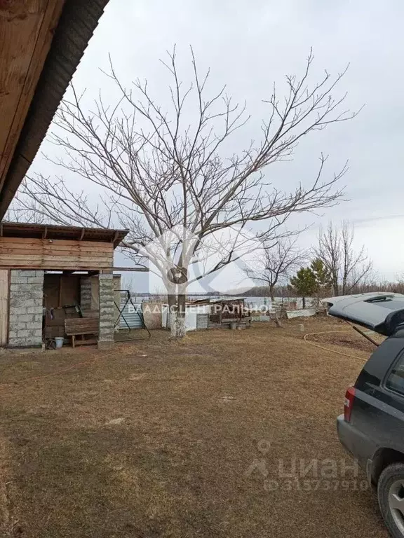 Дом в Новосибирская область, Колыванский район, Ермак СНТ 237 (20 м) - Фото 1