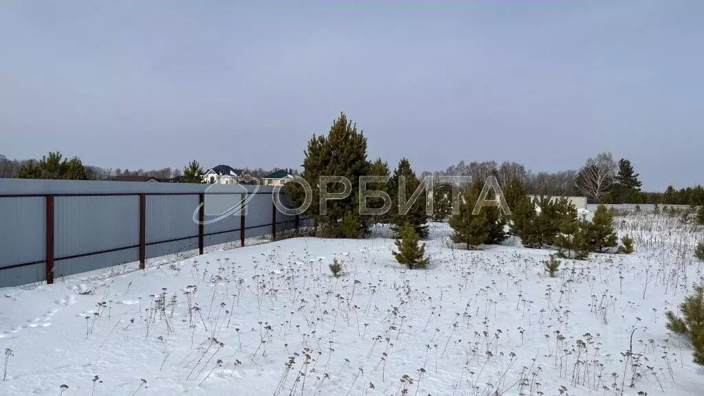 Участок в Тюменская область, Тюменский район, Новокаменский кп ул. ... - Фото 0