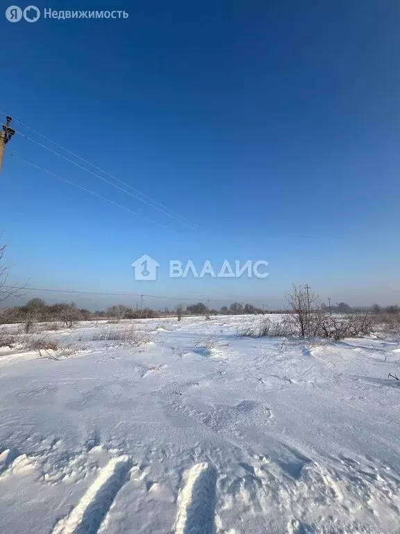 Участок в Зеленоградск, посёлок Сосновка (8 м) - Фото 2