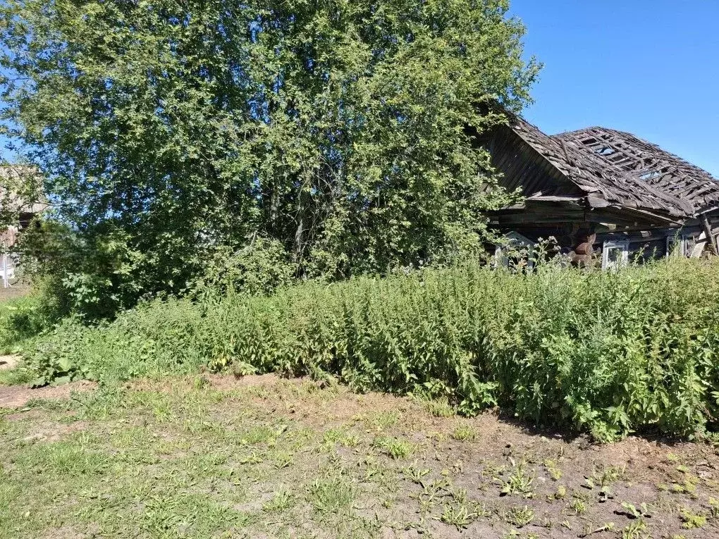 Участок в Ярославская область, Рыбинский муниципальный округ, д. ... - Фото 1