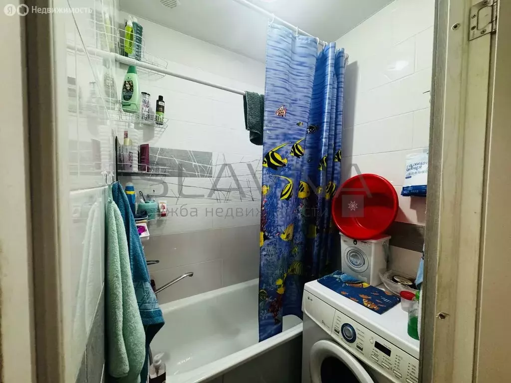 1-комнатная квартира: Кострома, Центральная улица, 48А (22.2 м) - Фото 1