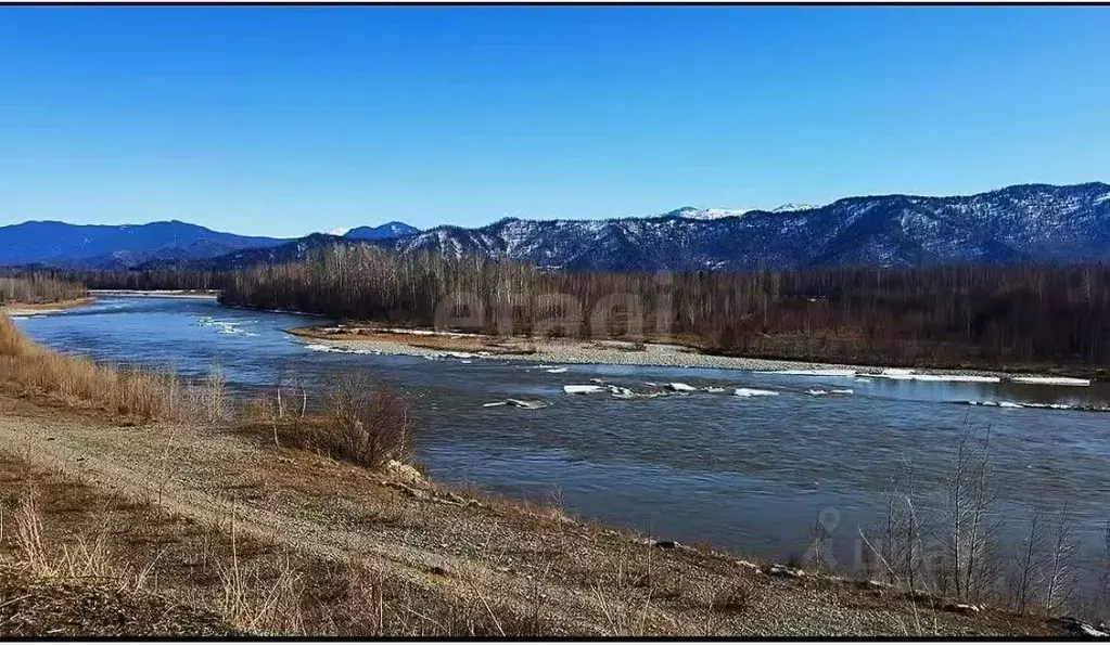 Участок в Алтай, Усть-Коксинский район, с. Усть-Кокса Набережная ул., ... - Фото 0