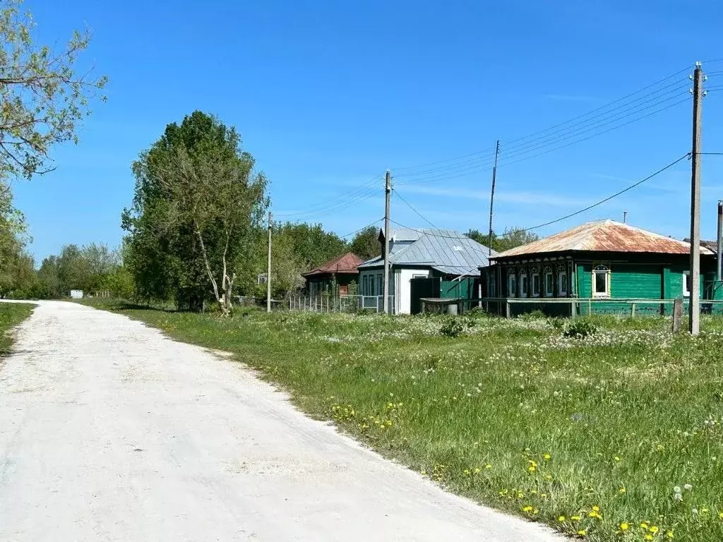 Дом в Нижегородская область, Павловский район, д. Гомзово 13 (47 м) - Фото 1