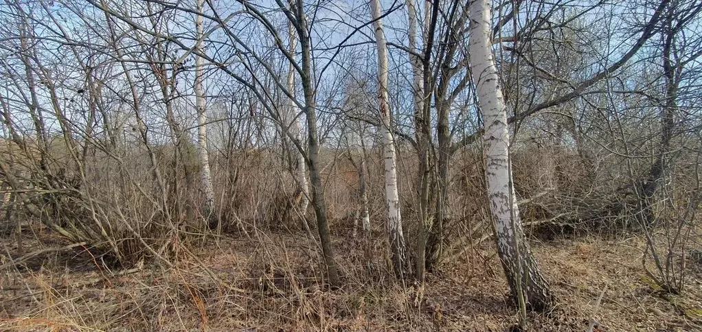 Участок 15,7 сот. (ИЖС) - Фото 1