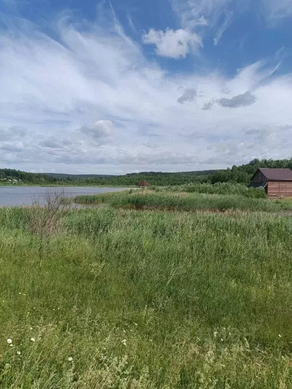 Участок в Пермский край, Добрянский городской округ, пос. Мутная  ... - Фото 1