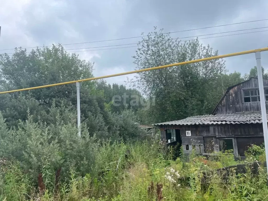 Участок в Томская область, с. Молчаново ул. Южная (15.0 сот.) - Фото 0