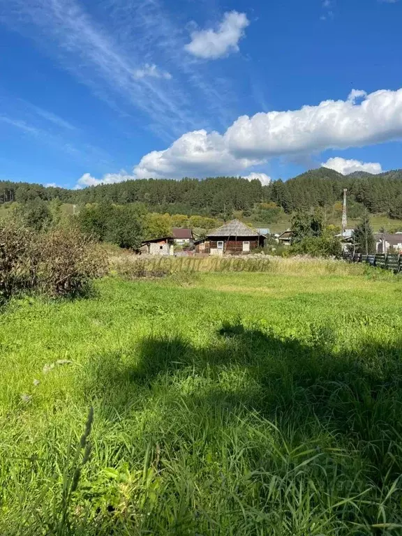 Участок в Алтай, Чемальский район, с. Чепош Родниковая ул. (14.0 сот.) - Фото 1