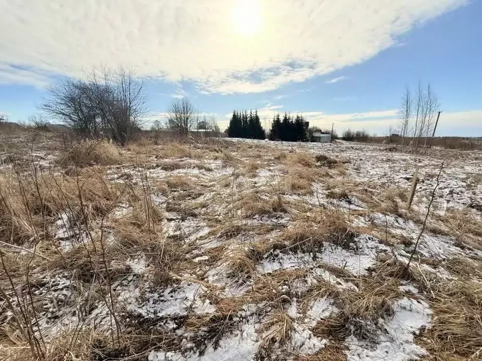 Участок в Вологодская область, с. Марьинское  (13.74 сот.) - Фото 2