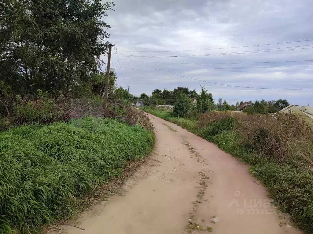 Участок в Новгородская область, Новгородский район, Бронницкое с/пос, ... - Фото 1