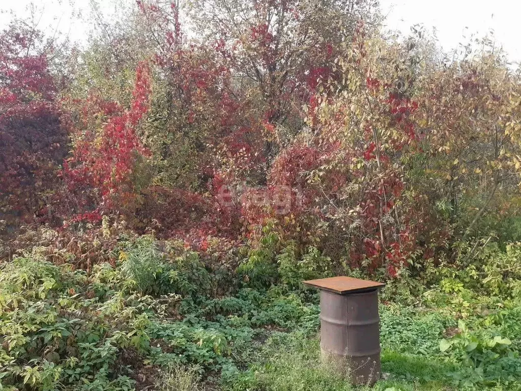 Участок в Нижегородская область, Нижний Новгород Дружба СНТ, ул. ... - Фото 1