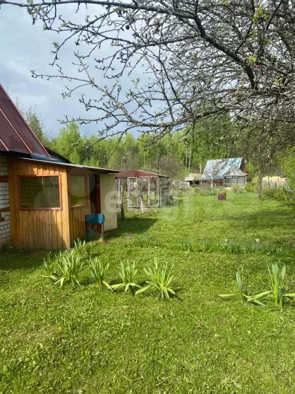 Купить Дачу В Нижнем Новгороде Надежда