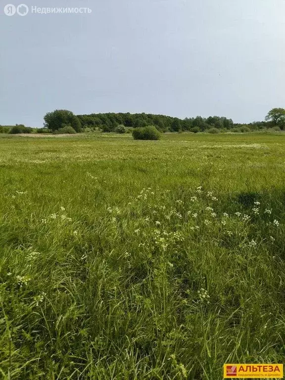 Участок в Калининградская область, Зеленоградский муниципальный округ, ... - Фото 2