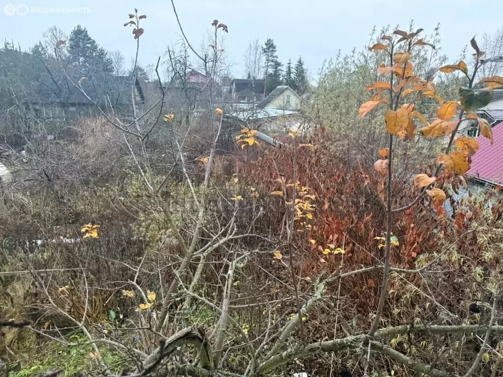 Участок в Санкт-Петербург, садоводство Дружный-1, 7-я линия (4.71 м) - Фото 2