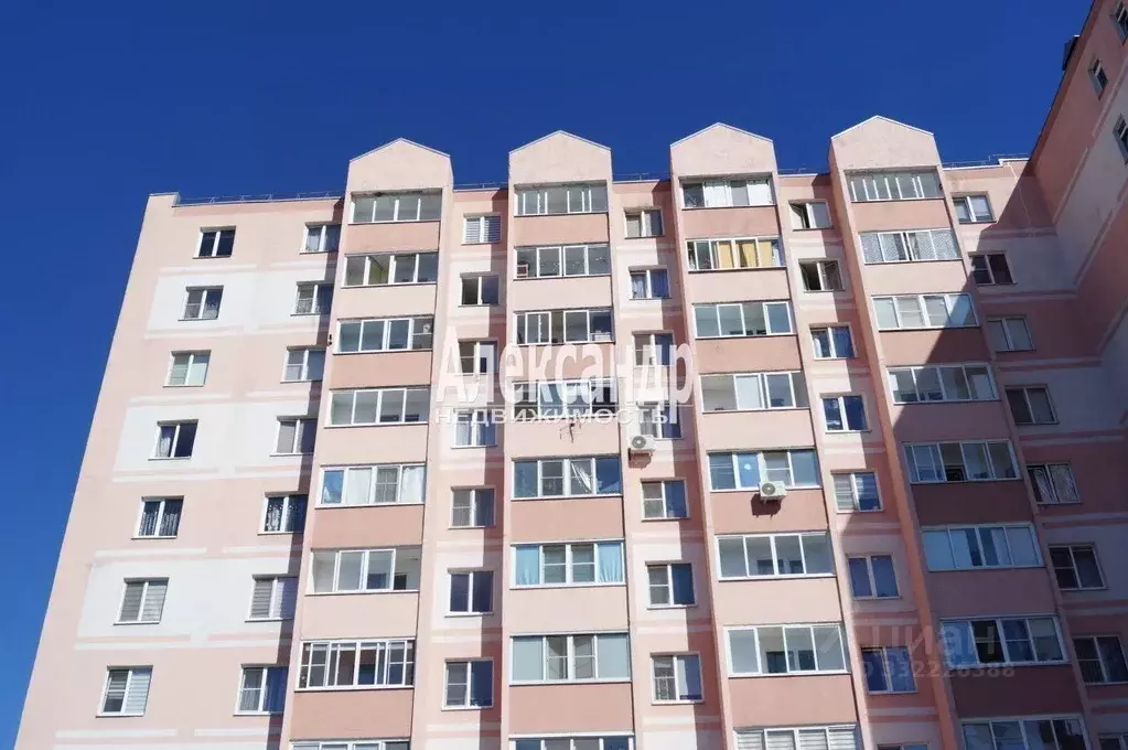 2-к кв. Ленинградская область, Никольское Тосненский район, ... - Фото 1