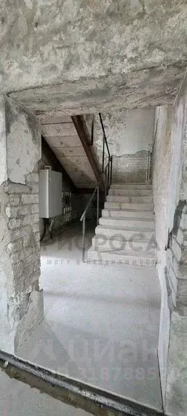 Торговая площадь в Волгоградская область, Волгоград ул. Качуевской, ... - Фото 2